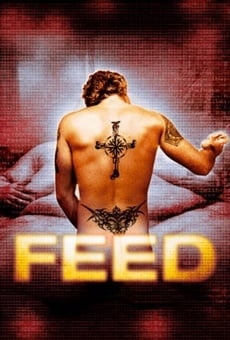 Feed on-line gratuito