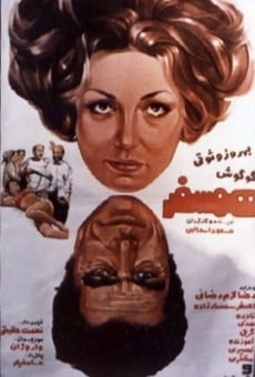 Hamsafar online streaming