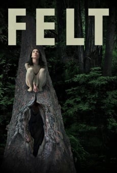 Ver película Felt