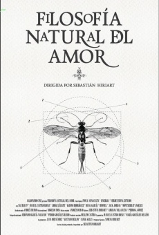 Ver película Filosofía natural del amor