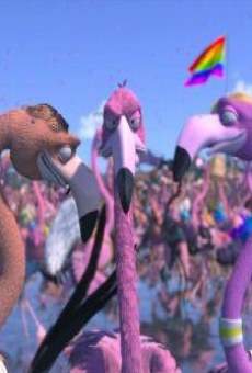 Ver película Flamingo Pride