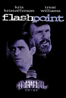 Ver película Flashpoint