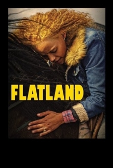 Ver película Flatland