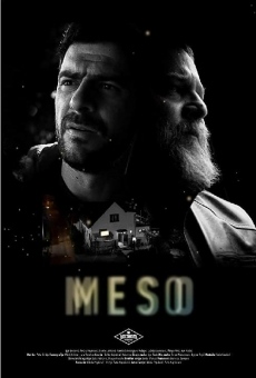 Meso streaming en ligne gratuit