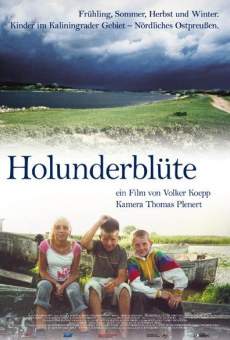 Holunderblüte stream online deutsch