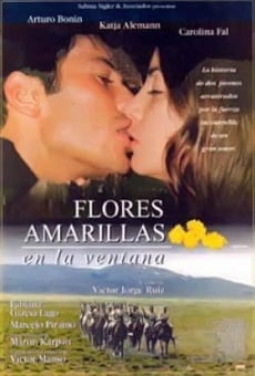 Flores amarillas en la ventana streaming en ligne gratuit