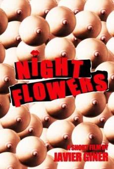 Night Flowes streaming en ligne gratuit