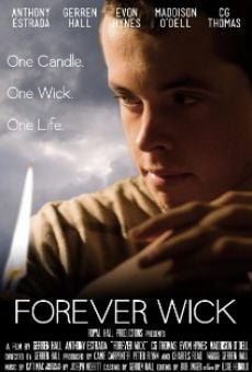 Película: Forever Wick