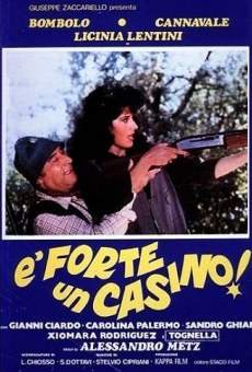 Ver película È forte un casino!