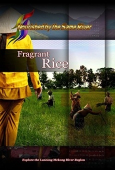 Fragrant Rice