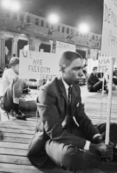 Ver película Freedom Summer