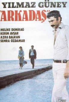 Arkadas online streaming