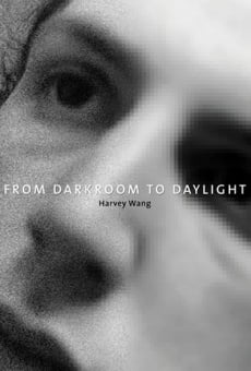 Watch From Darkroom to Daylight online stream
