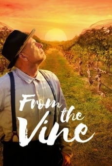 Ver película From the Vine