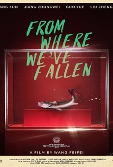 Ver película From Where We've Fallen