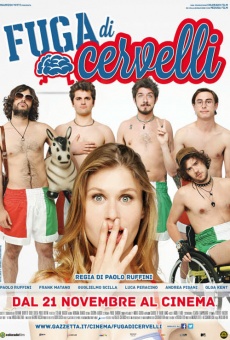 Fuga di cervelli online streaming
