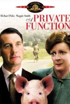 Ver película Función privada