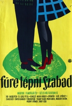 Füre lépni szabad