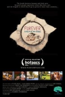 Watch Furever online stream