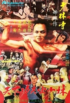 Ver película Fury in the Shaolin Temple