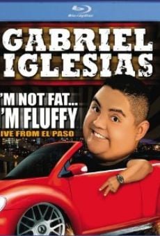 Ver película Gabriel Iglesias: I'm Not Fat... I'm Fluffy