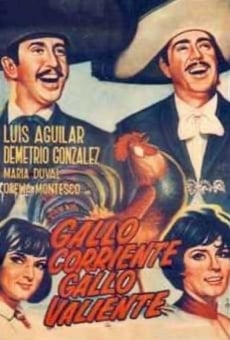 Ver película Gallo corriente, gallo valiente