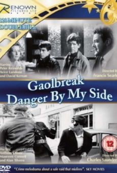 Ver película Gaolbreak