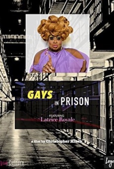 Gays in Prison online
