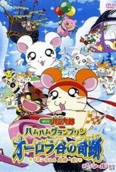 Ver película Gekijô ban Tottoko Hamutaro: Ôrora no kiseki - Ribon chan kiki ippatsu!