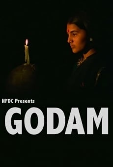 Ver película Godam