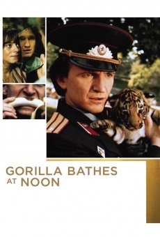 Gorilla Bathes at Noon online