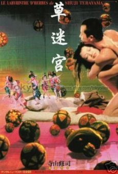 Kusa-meikyu online streaming