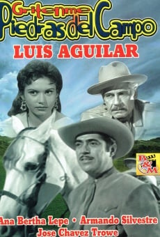 Película