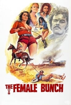 The Female Bunch online streaming