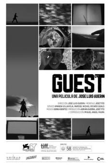 Guest en ligne gratuit