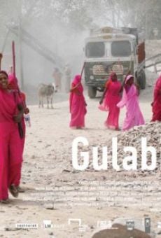 Watch Gulabi Gang online stream