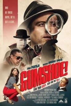 Ver película Gumshoe