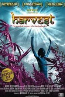 Harvest online free