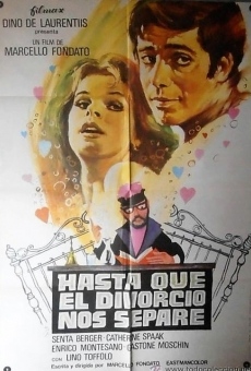 Ver película Hasta que el divorcio nos separe