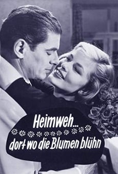 Heimweh... dort wo die Blumen blüh'n