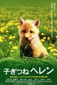 Ver película Helen the Baby Fox