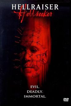 Watch Hellraiser: Hellseeker online stream