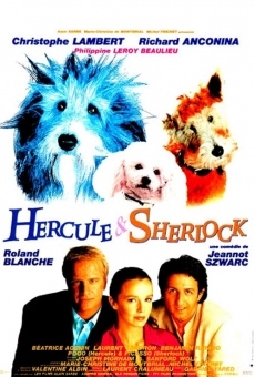 Hercule & Sherlock en ligne gratuit