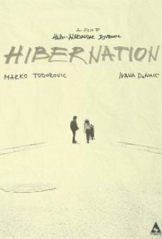 Hibernacija