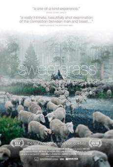 Watch Sweetgrass online stream