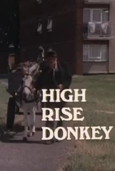High Rise Donkey stream online deutsch