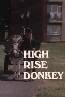 High Rise Donkey