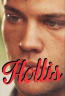 Hollis online