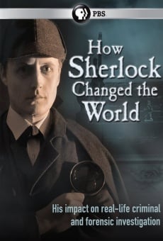 How Sherlock Changed the World