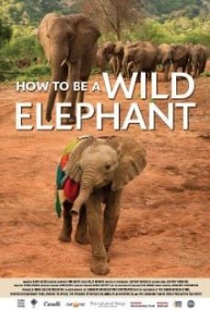 Ver película How to Be a Wild Elephant